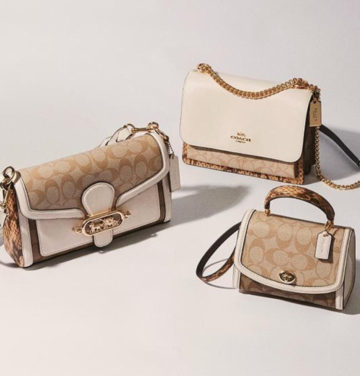 Are Coach Purses Luxury Hotels